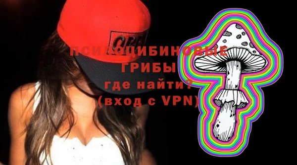 spice Армянск