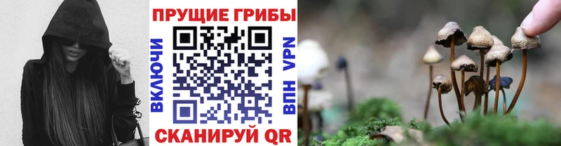 это формула  Терек  Псилоцибиновые грибы Cubensis 